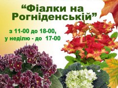 3-6 октября выставка африканских фиалок