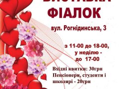 12-16 лютого 2020 року - виставка фіалок