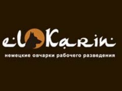 Чемпионат Украины по защитно-караульной службе