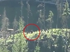 Канадская парочка сняла на видео снежного человека
