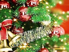 Куда поставить елку в Новый 2013 год Змеи?