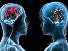 Злі і добрі люди відрізняються розміром мозку