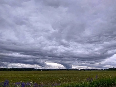 Синоптики попередили про небезпечну погоду: які області під загрозою