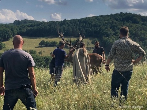 Під Житомиром завершують знімати українсько-словацький серіал