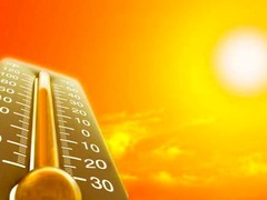 Шкідлива спека: як вберегтись від вражаючих градусів