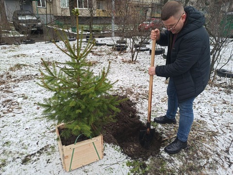 У Києві активісти висадили живі ялинки, куплені на свята