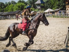 Під Києвом пройде фестиваль по древньому кінному бойовому мистецтву