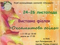 Запрошуємо киян та гостей міста на виставку фіалок клубу «Оксамит»