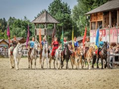 Під Києвом пройде кінна атака