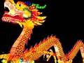 40-метровий китайський дракон оселиться в Києві