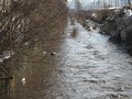 У Києві відновлюють річку Либідь
