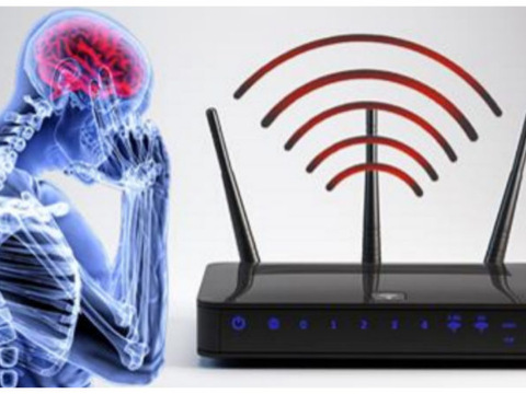 Фахівці: Wi-Fi-випромінювання збільшує ризик викидня майже на 50 %