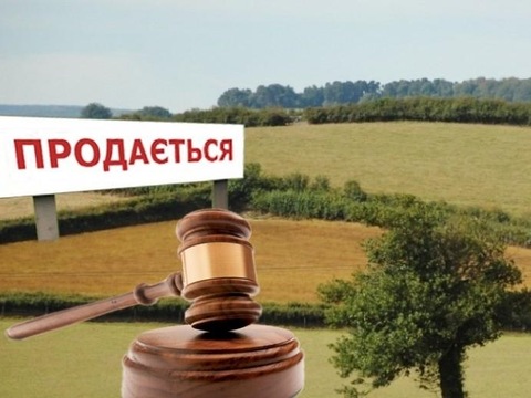 Білий ринок землі: реальність та очікування