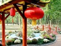 «Яскравий Китай» у Києві: оновлення Сирецького парку