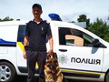 У Києві службовий пес допоміг оперативникам затримати палія автомобіля