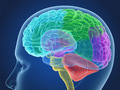 Вчені дізналися про функції мозку під час несвідомого стану
