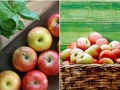 Ціни на яблука впали до трьох гривень за кіло